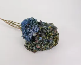 Dried Hydrangea Flower Bunch - Blue Color