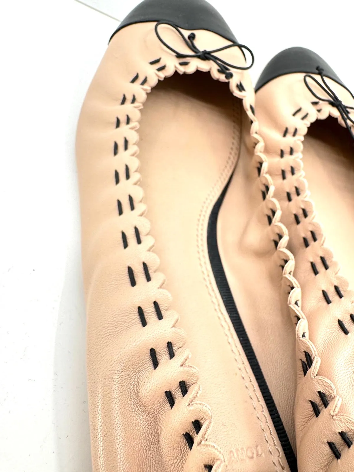 TORY BURCH SCALLOP ELASTIC BALLET FLATS IN GOAN SAND
